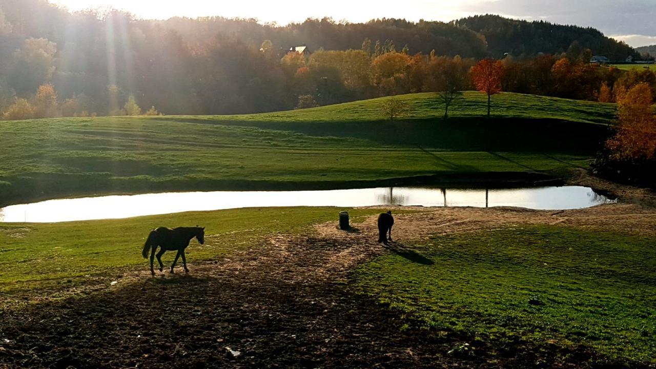 Przystanek Patulskie Pierszczewo Exteriör bild